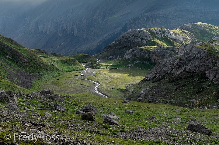 Alp Tierberg, Berner Oberland