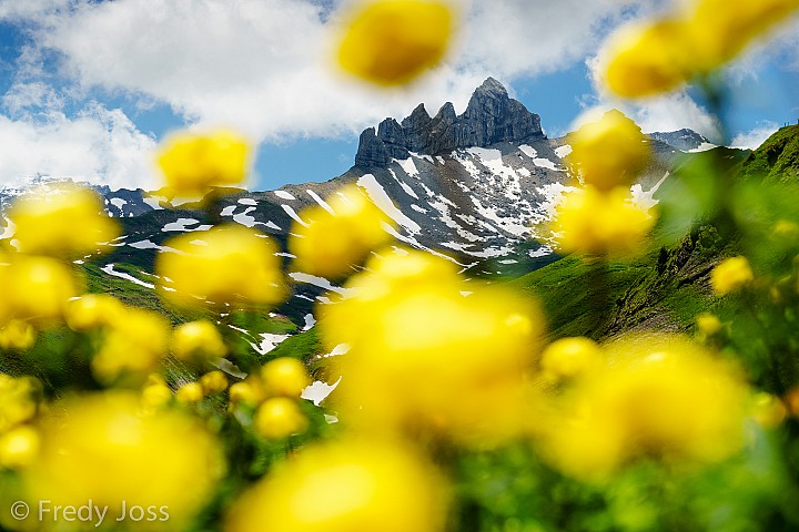 Lobhörner, Lauterbrunnental