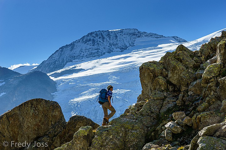 Gwächtenhorn, Sustenpass