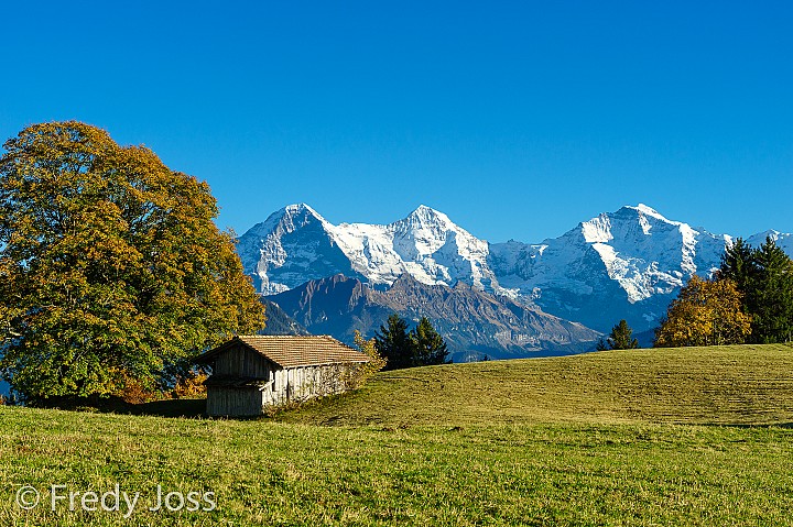 Eiger, Mönch und Jungfrau, Berner Alpen